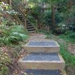 Manly Scenic Walkway Track Upgrade Site Photos
